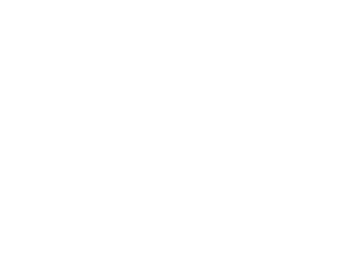 the icon vellage
